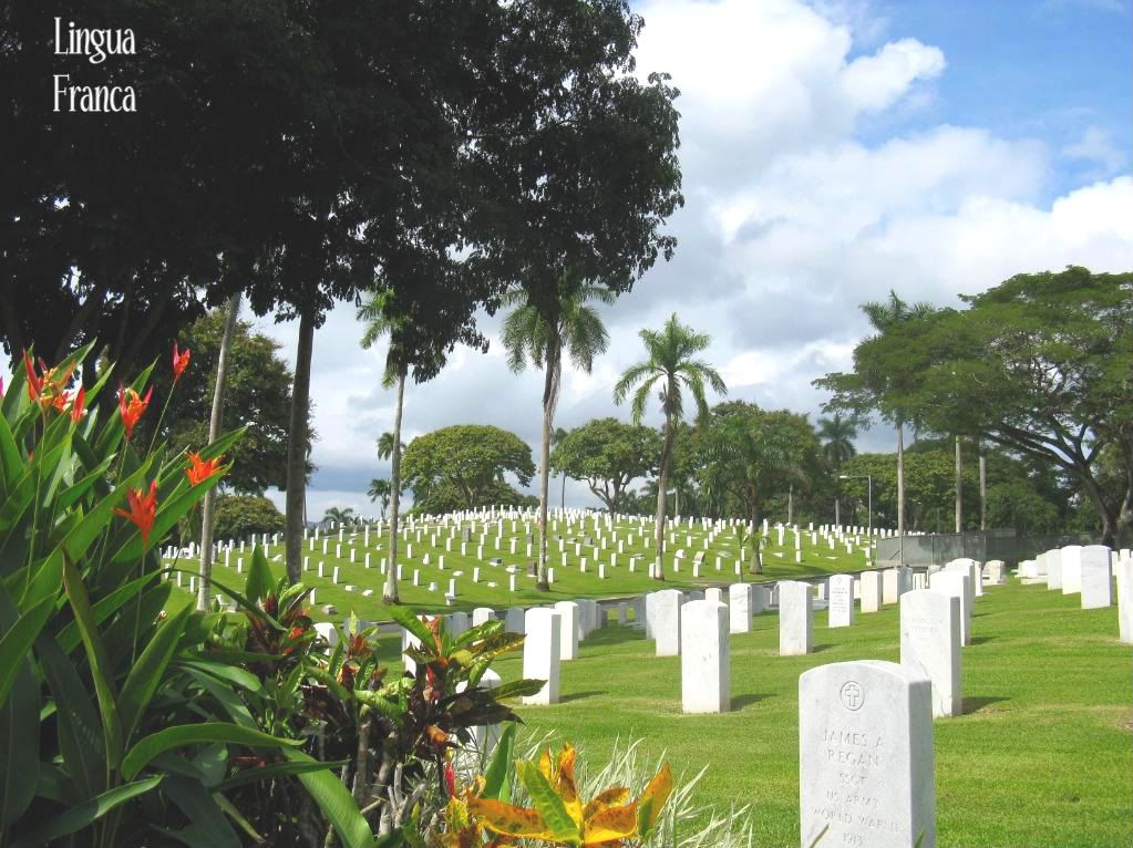 A birds eye view of the cementery showing beautiful tropical flowers and well- trimmed lawns growing within its premises. (Credit: Omar Upegui R.)