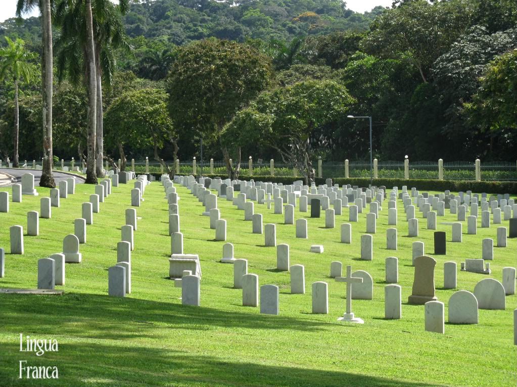 An over-view of the neat rows of white crosses at the American Corozal Cemetery surrounded by lush tropical foliage. (Credit: Omar Upegui R.)