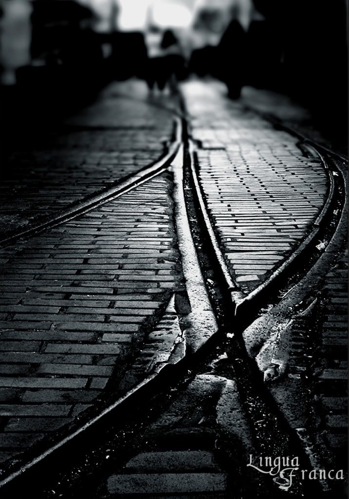 Old streetcar rails at Casco Viejo in Panama City, Panama. (Credit: Omar Upegui R./Michael Moore)