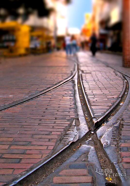 A close up view of the streetcar rails in front of Plaza Santa Ana. Notice how well kept the rails are after almost 100 years. (Credit: Omar Upegui R./Michael Moore)