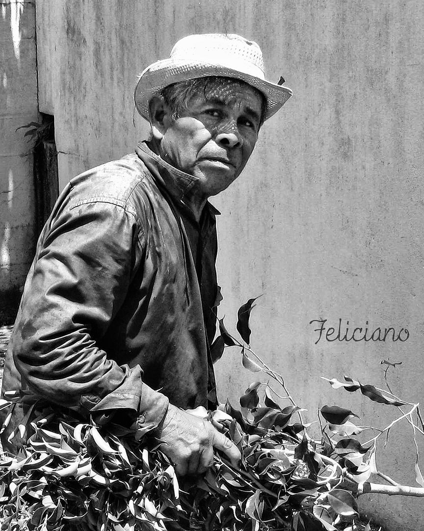 Snapshot of Feliciano, the gardener of El Bosque neighborhood. Photo by ©Omar Upegui R./Michael Moore.