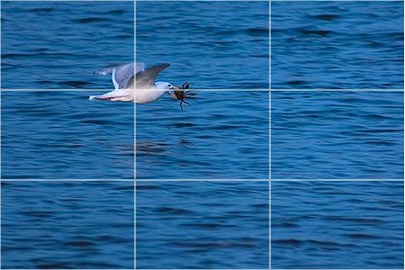 Application of the Rule of Thirds placing the seagull at the upper right power point and giving room from the bird to fly towards your right. You can easily image the flight of the bird. (Credit: Yongbo Yiangs Weblog)