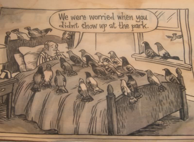 Hilarious pigeon cartoon PigeonTalk