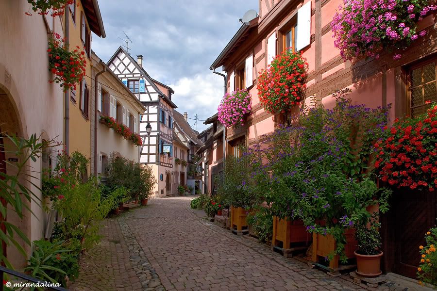 http://i23.photobucket.com/albums/b390/mirandalina/France/10sent2010_Eguisheim_08.jpg