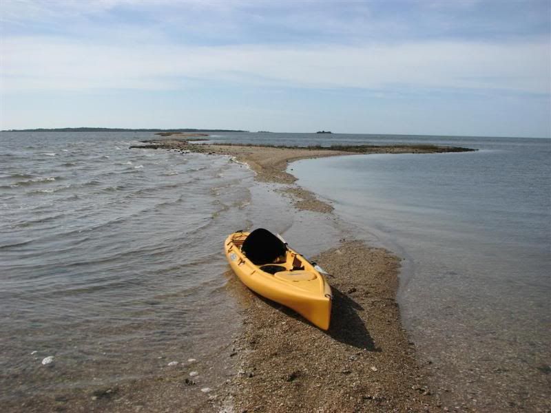 IMAGE: http://i23.photobucket.com/albums/b390/pointerDixie214/CedarKey2-24-07006Large.jpg