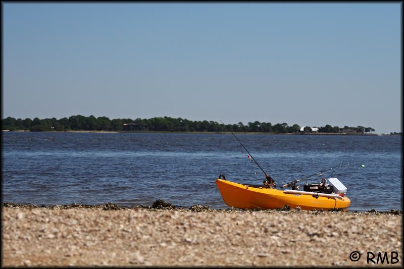 IMAGE: http://i23.photobucket.com/albums/b390/pointerDixie214/DPP_0032.jpg