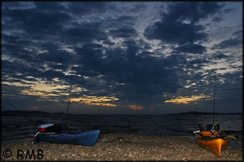 IMAGE: http://i23.photobucket.com/albums/b390/pointerDixie214/DPP_0101copy.jpg