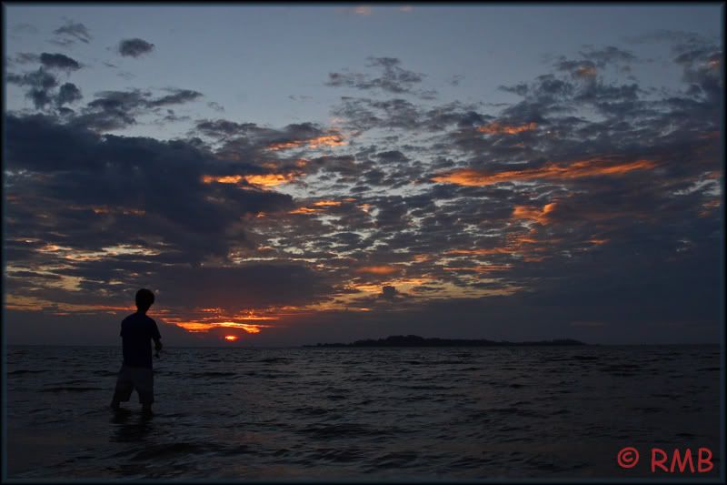 IMAGE: http://i23.photobucket.com/albums/b390/pointerDixie214/DPP_0104.jpg