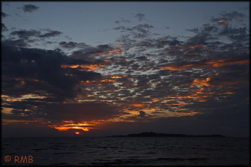 IMAGE: http://i23.photobucket.com/albums/b390/pointerDixie214/DPP_0108.jpg