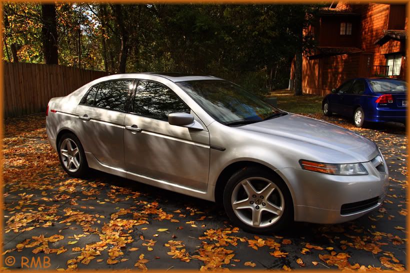 IMAGE: http://i23.photobucket.com/albums/b390/pointerDixie214/IMG5163.jpg