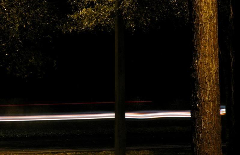 IMAGE: http://i23.photobucket.com/albums/b390/pointerDixie214/IMG_2070Medium.jpg