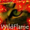 .:Wildflame:. Avatar