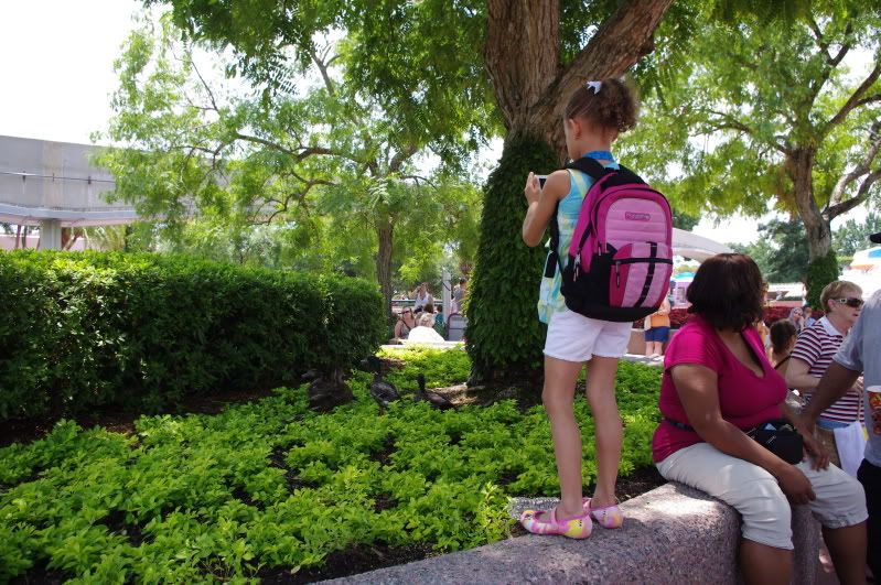 epcot247.jpg