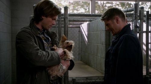photo Supernatural-S9E5-5_zps018e76f6.jpg