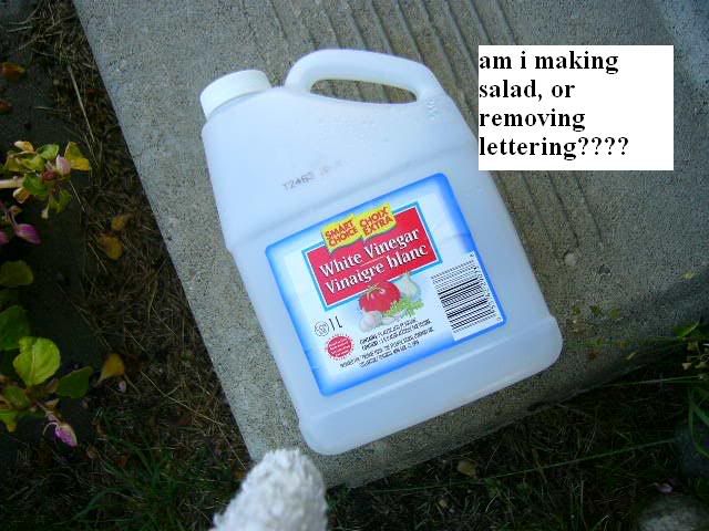 [Image: salad.jpg]