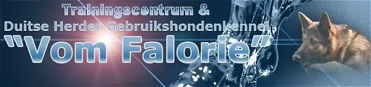 Forum Vom Falorie forum index