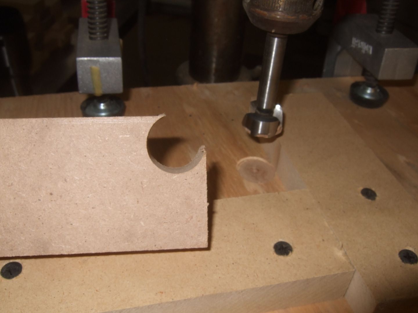 DSCF5459.jpg