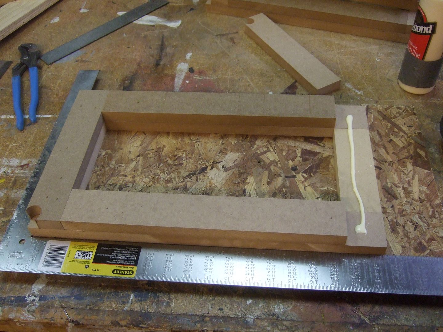 DSCF5479.jpg