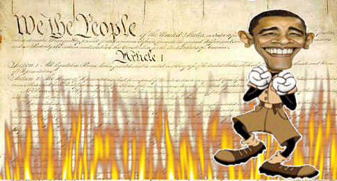 ObamaConstitutionBurn.gif image by SCady71148