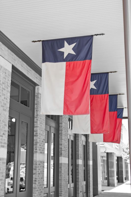 IMAGE: http://i23.photobucket.com/albums/b394/brandrum/texasflags.jpg