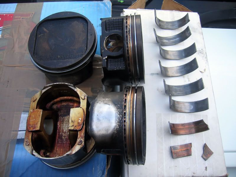 gtb-piston-bearings-3.jpg