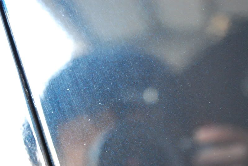 DSC_0009.jpg