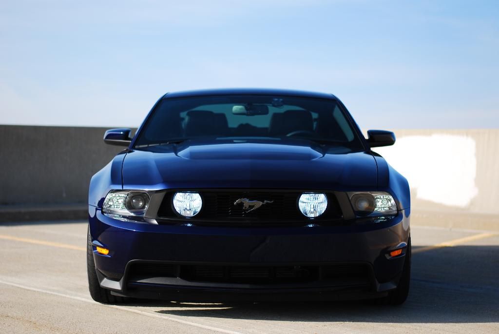 DSC_0351-1.jpg