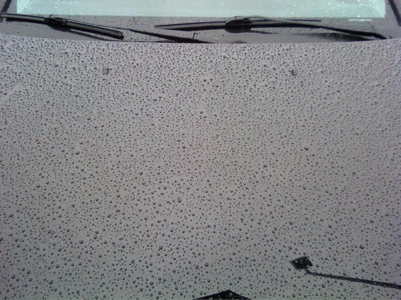 p_00388.jpg