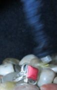 photo IMG_0368.jpg