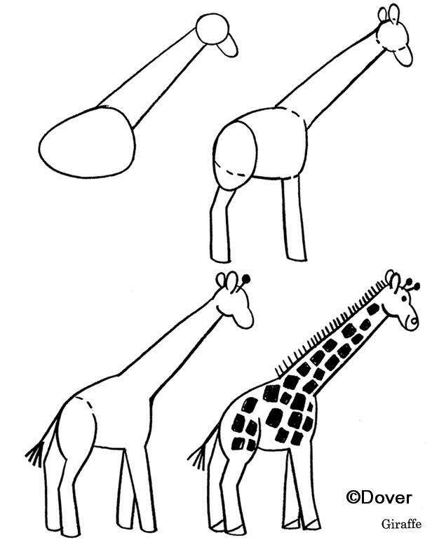 Draw A Giraffe