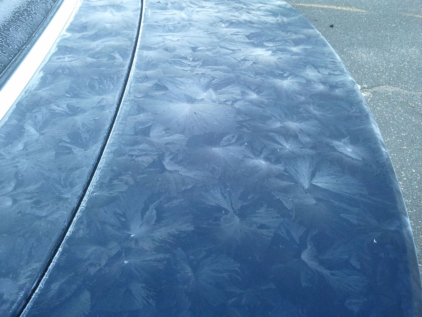 2010-11-29081436.jpg