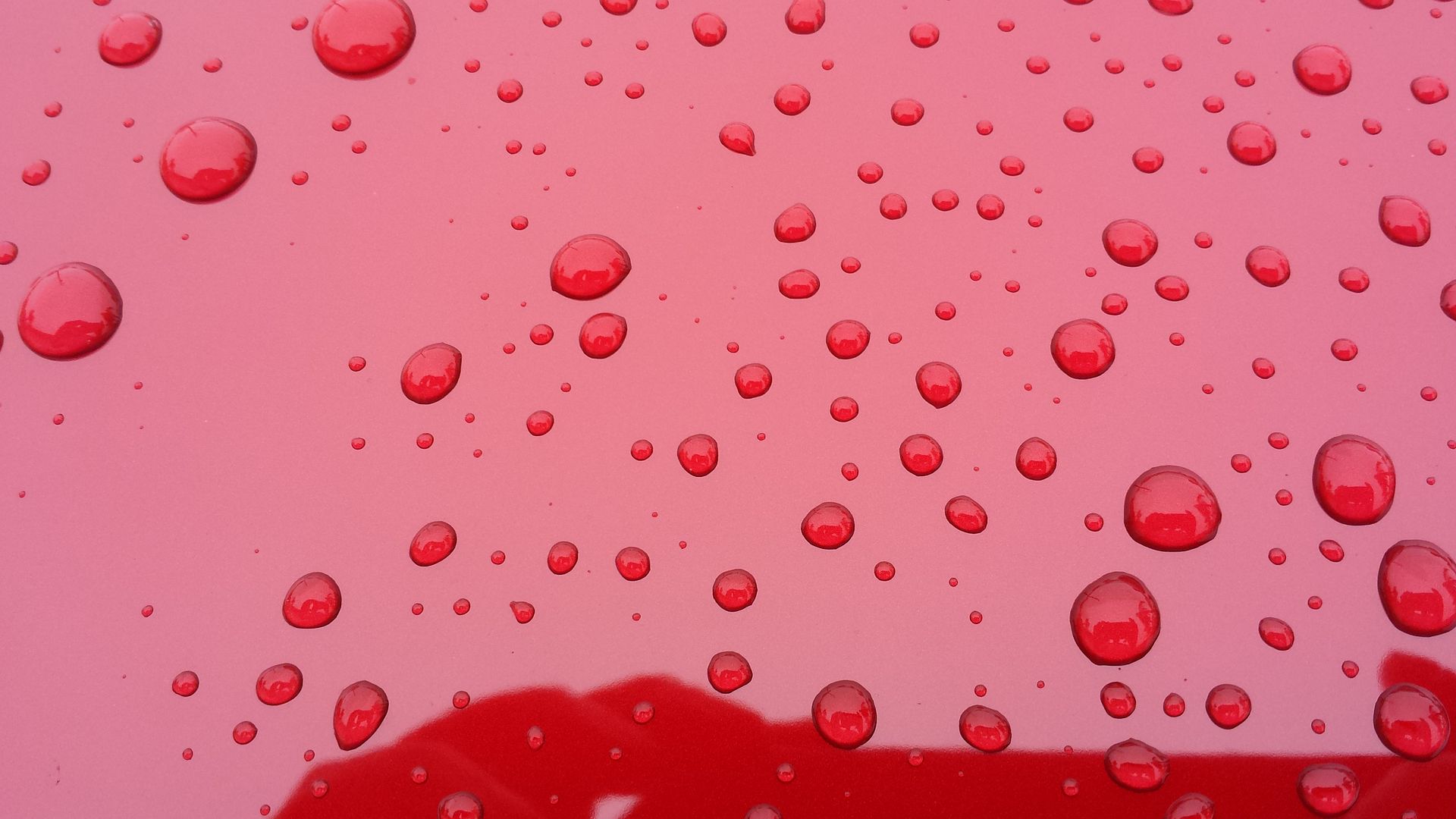 20140131_115330_zps6nfgxwze.jpg