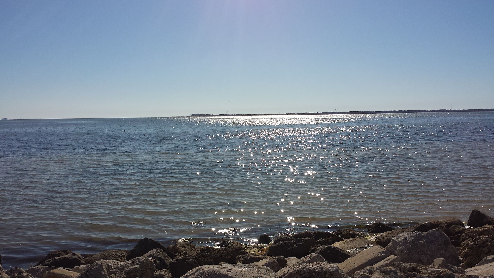 20140228_154641_zps8164jupv.jpg