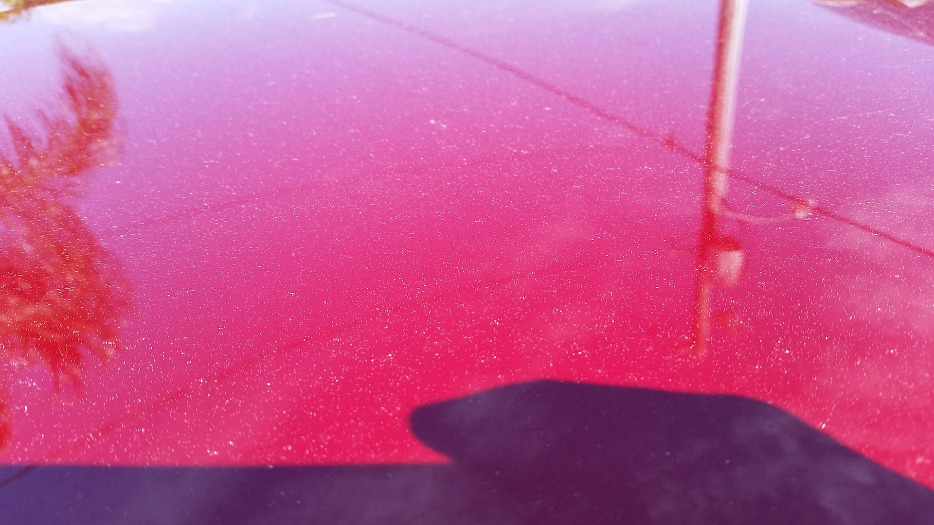 20150207_120511_zps7g1tsyfq.jpg