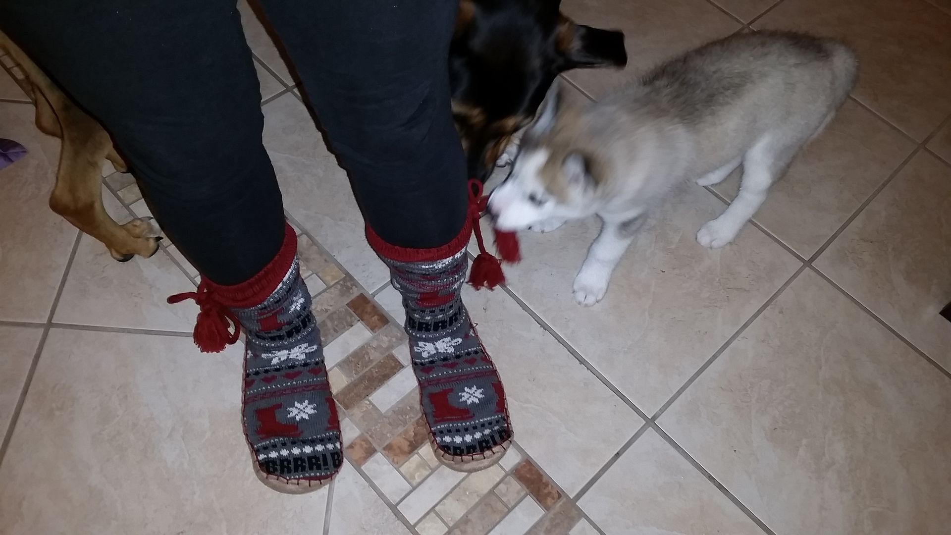 20150218_202246_zpslcvdipfr.jpg