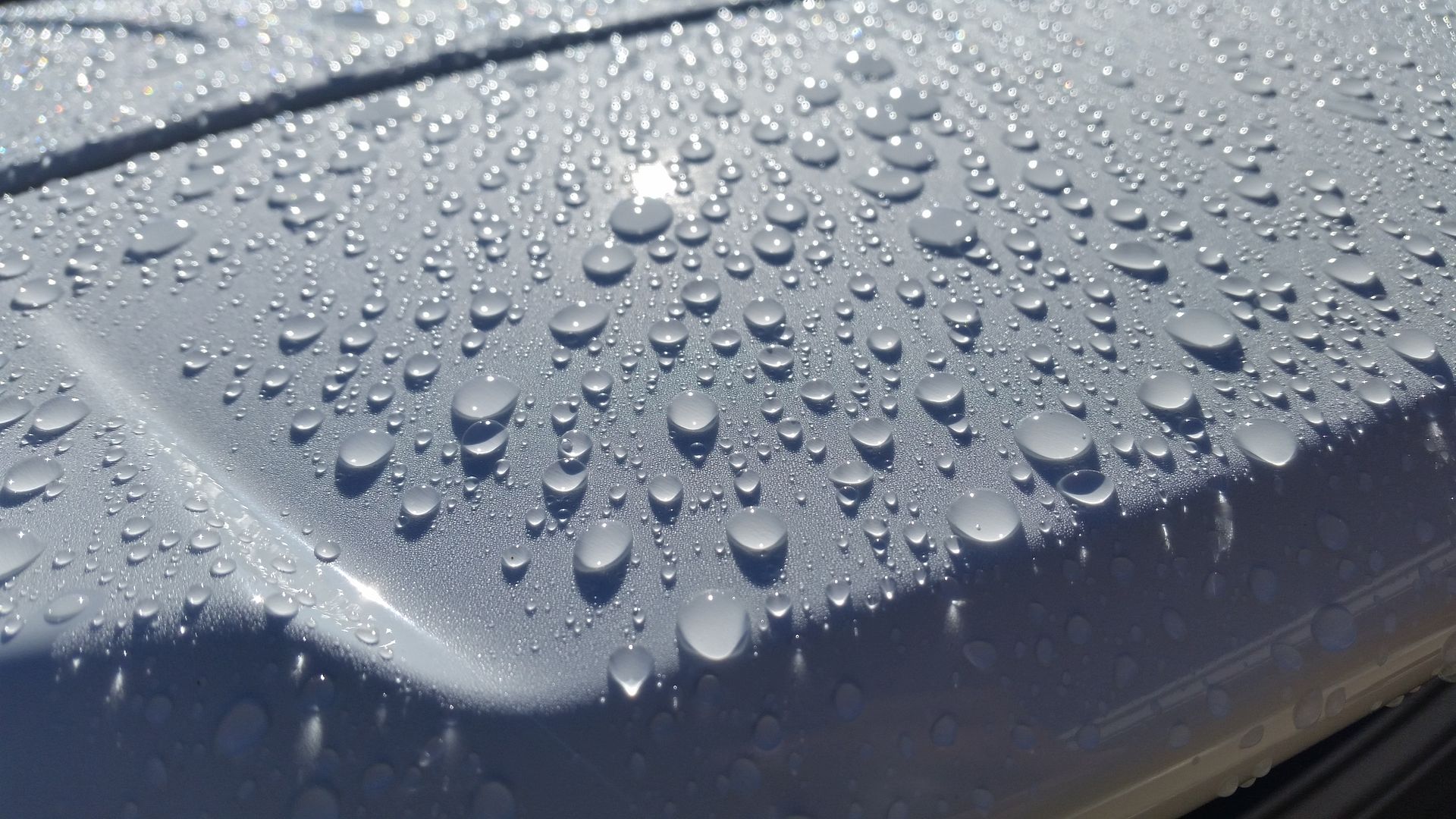 20160216_092847_zpstx4n0fym.jpg