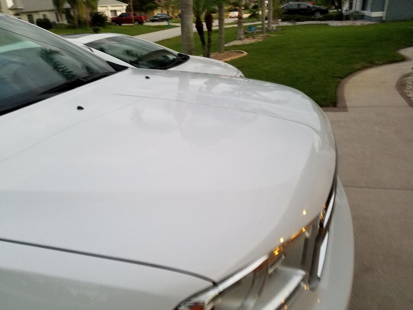 20160906_195510_zpsqbgxkwvd.jpg