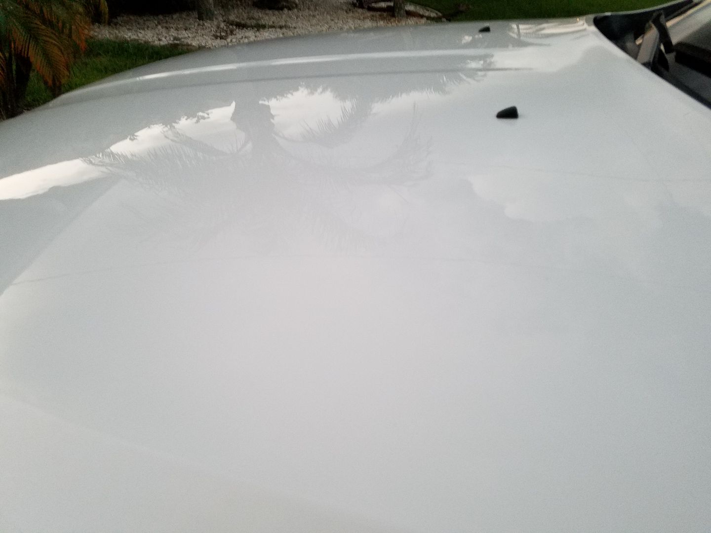 20160906_195519_zpslkcbmiwc.jpg