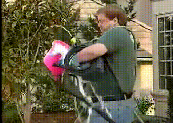 giphy_zpsmzpusv5b.gif