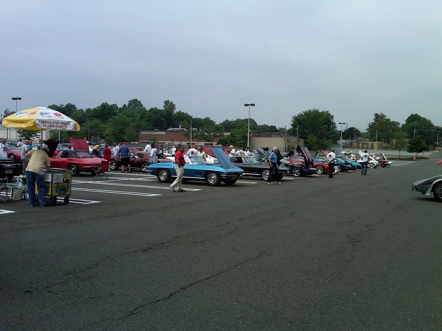 IMG00058-20100613-1114.jpg