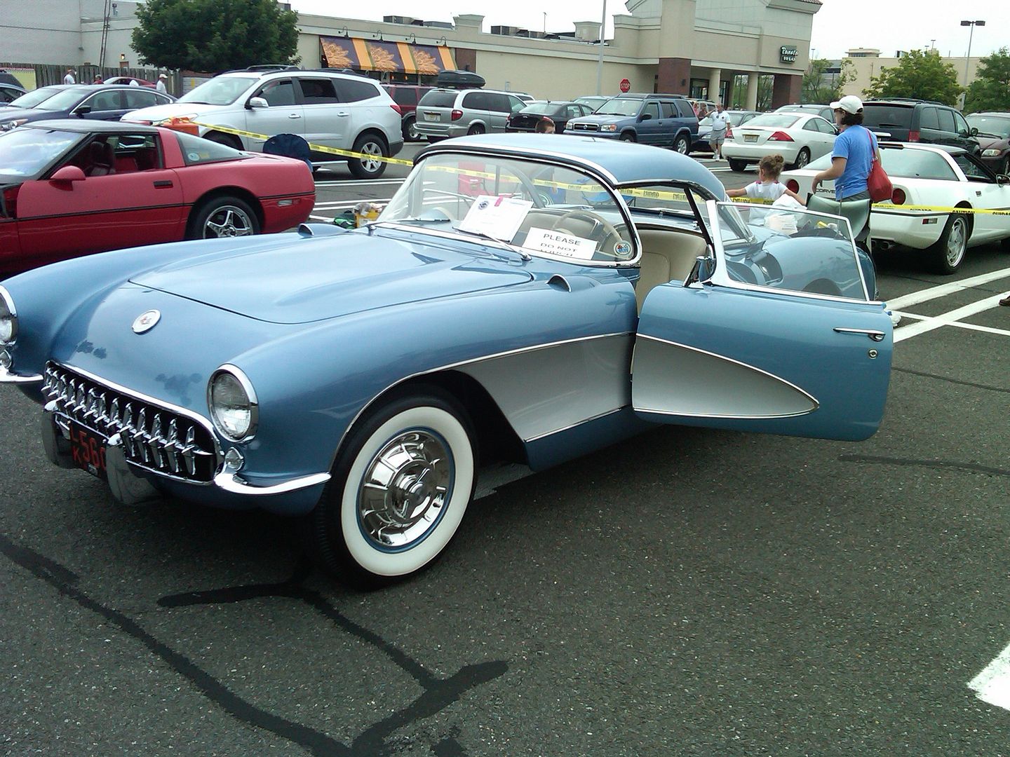 IMG00064-20100613-1123.jpg