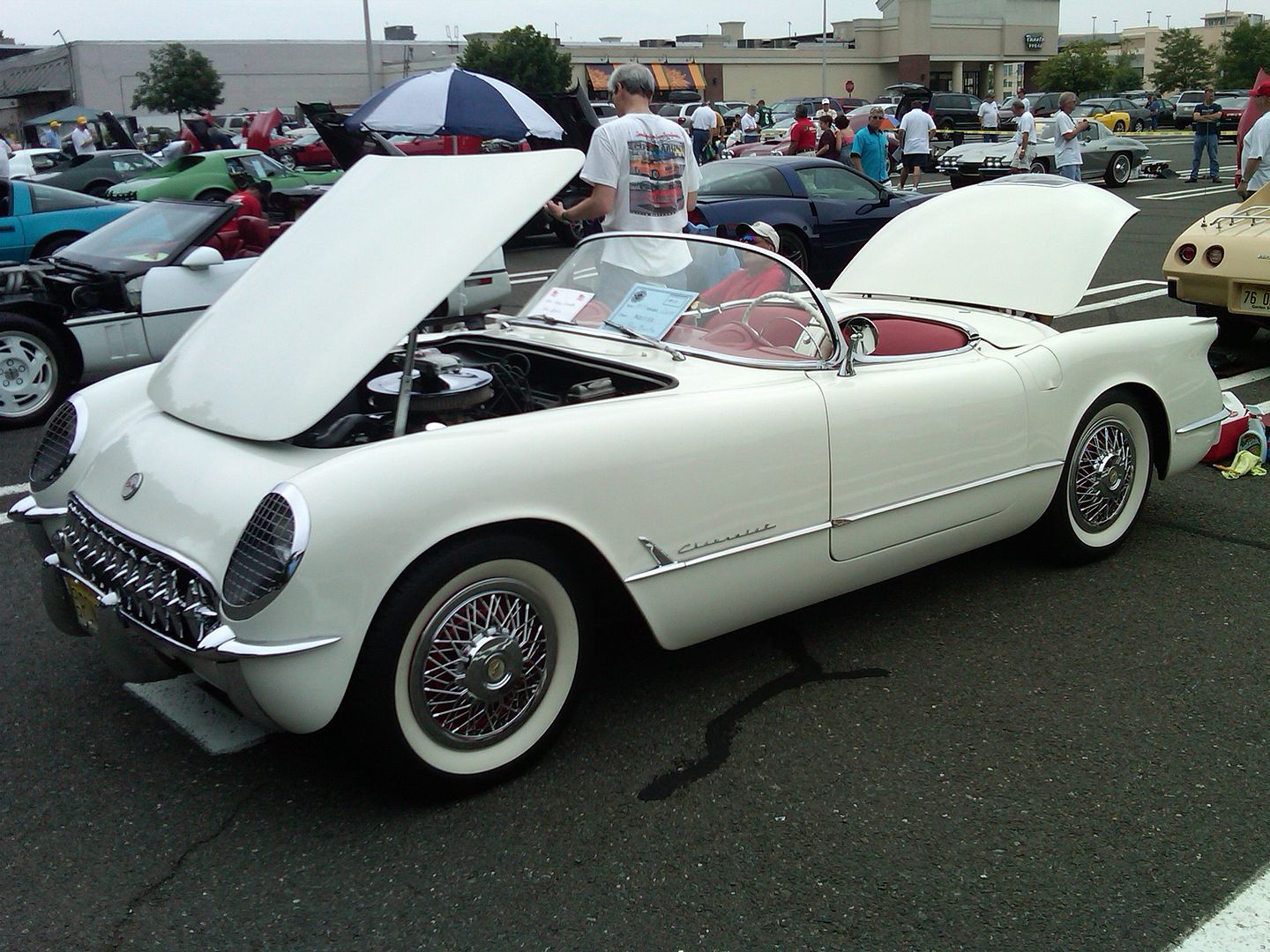 IMG00070-20100613-1125.jpg