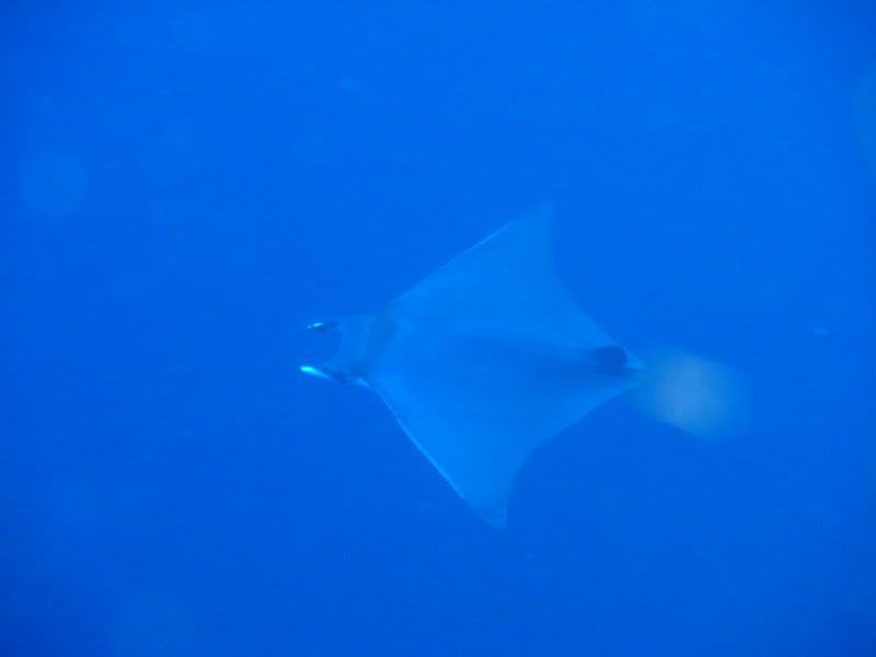 CIMG0977.jpg