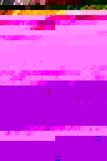 15866456.jpg