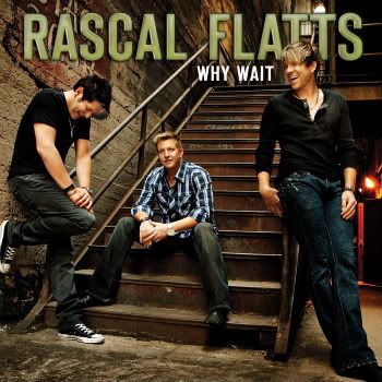 rascal-whywai_02.jpg