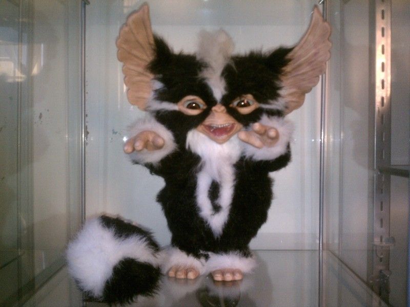 My Gremlins Collection Rpf Costume And Prop Maker Community