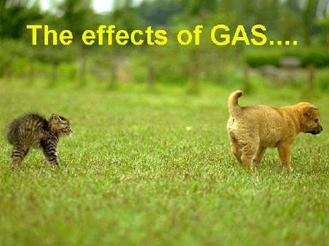 [صورة: TheEffectsofGas.jpg]