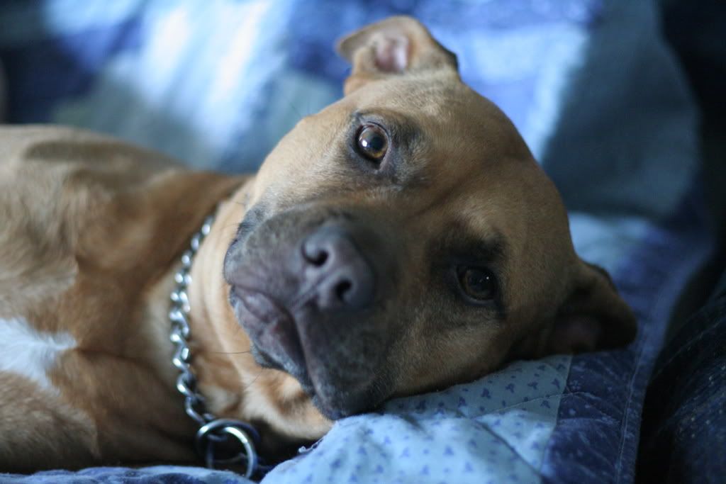 IMAGE: http://i23.photobucket.com/albums/b397/nan3182/Jaida/IMG_1824.jpg