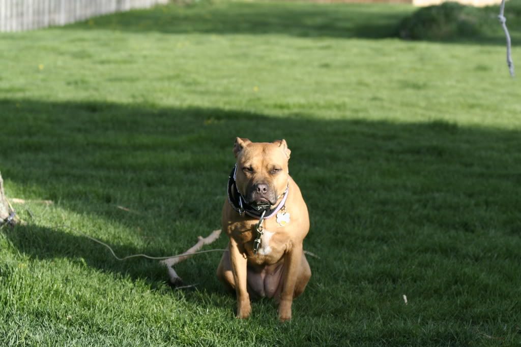 IMAGE: http://i23.photobucket.com/albums/b397/nan3182/Jaida/_MG_2890.jpg