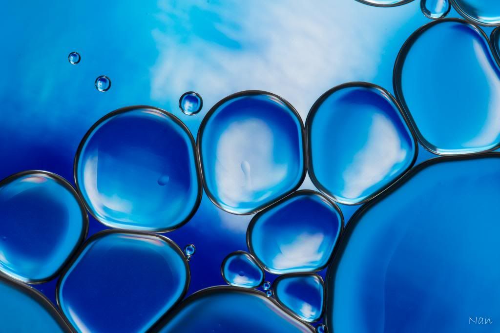 IMAGE: http://i23.photobucket.com/albums/b397/nan3182/Oil%20and%20Water/IMG_7643_zps8d1d5eb4.jpg